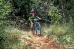 Collio Brda Cup XCo 2026
